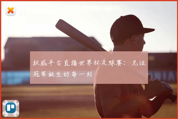 权威平台直播世界杯足球赛：见证冠军诞生的每一刻