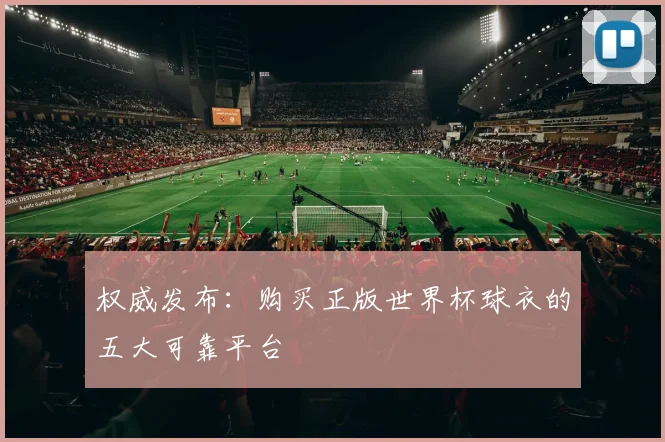 权威发布：购买正版世界杯球衣的五大可靠平台