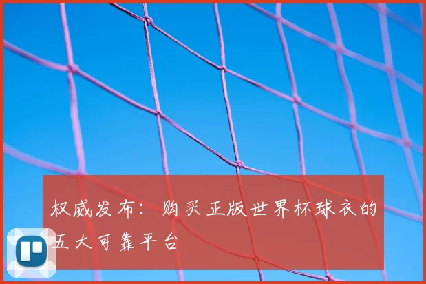 权威发布：购买正版世界杯球衣的五大可靠平台