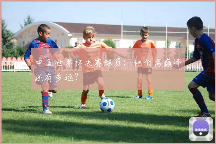 中国世界杯决赛球员：他们离巅峰还有多远？